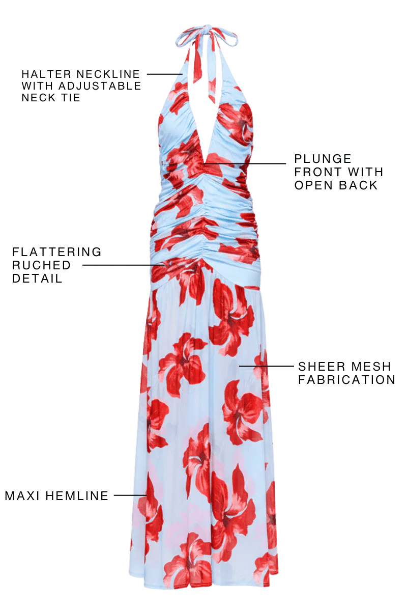 CHLOE FLORAL HALTER MESH MAXI DRESS